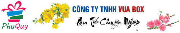 CÔNG TY TNHH VUA BOX